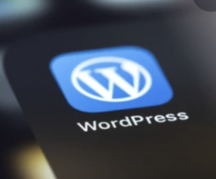WordPress建站论坛-WordPress建站版块-自我提升-A资源网