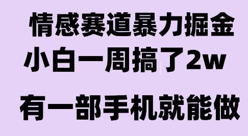 情感暴力掘金项目，新人操作一周挣了2W，长期稳定小白可做【揭秘】-A5资源网
