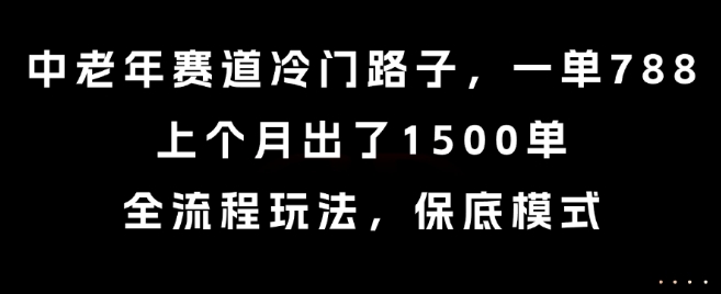 中老年赛道冷门路子，一单788，上个月出了1500单，全流程玩法，保底模式【揭秘】-A5资源网