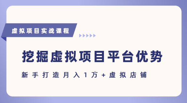 抓住虚拟项目各平台优势，新手轻松月入1W+(给出具体建议)-A5资源网