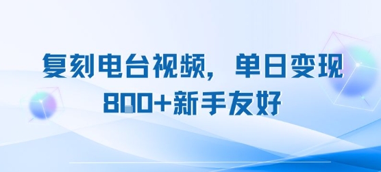 复刻电台视频，单日变现8张+新手友好，长期可做-A5资源网