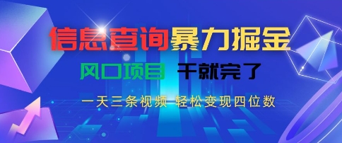 信息查询暴力掘金，一天三条视频，轻松变现四位数，风口项目干就完了【揭秘】-A5资源网