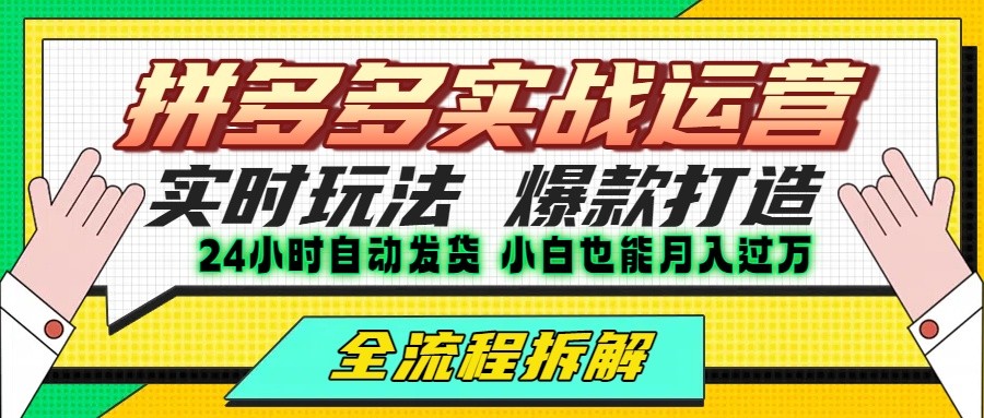 拼多多最新实战运营高投产：长久稳定项目，单店利润一天三位数-A5资源网