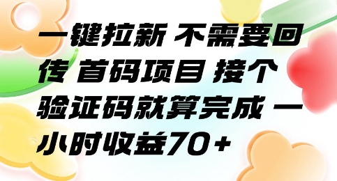 一键拉新 不需要回传 首码项目 接个验证码就算完成 一小时收益70+【揭秘】-A5资源网