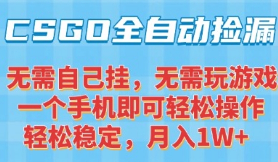 CSGO自动捡漏项目，最新独家玩法，一个手机可操作，新手小白轻松月入1W+，操作简单易上手【揭秘】-A5资源网