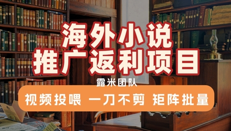 海外小说推广返利项目，视频投喂， 一刀不剪，矩阵批量-A5资源网