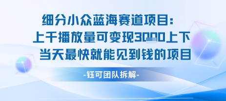 小众蓝海赛道项目：当天变现1k+适合新手操作 +适合长期玩-A5资源网