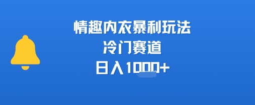 情趣内衣暴利玩法，冷门赛道，日入1k+-A5资源网