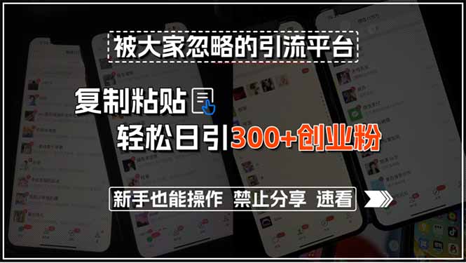 被大家忽略的引流平台，复制粘贴轻松日引300+创业粉，新手也能操作，禁...-A5资源网