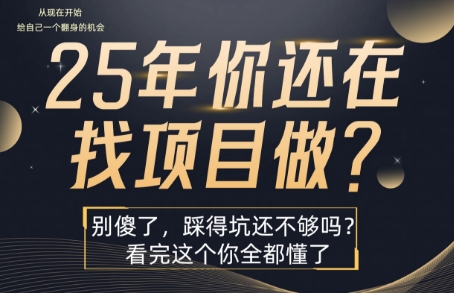 25年，你还在疯狂的找项目吗？别傻了，看完这个你都懂了【揭秘】-A5资源网