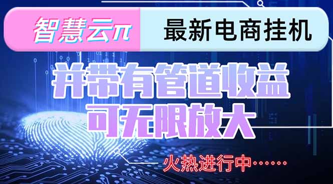 智慧云π电脑挂机单机每天收益300—500+ 并带有团队管道收益 可无限放大-A5资源网
