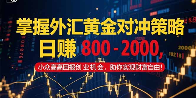 掌握外汇黄金对冲策略，日赚 800 - 2000，小众高回报创业机会，助你实...-A5资源网