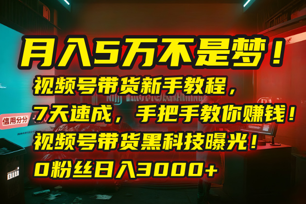 月入5万不是梦！视频号带货新手教程，7天速成，手把手教你赚钱！视频号…-A5资源网