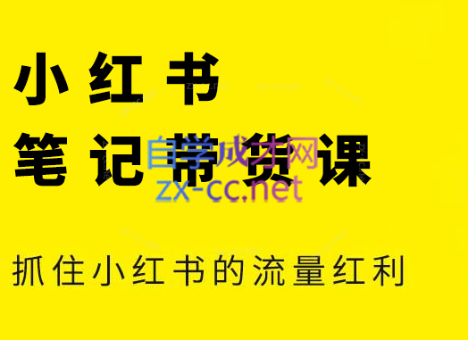 张宾·小红书笔记带货课(更新6月)-A5资源网