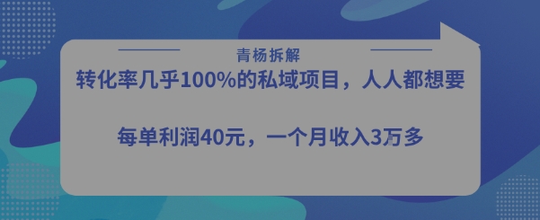 转化率最高的私域项目，每单利润40-50米，月入过1w-A5资源网