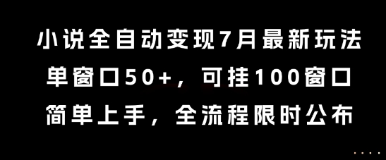 小说全自动变现7月玩法，单窗口50+，可挂100窗口，简单上手，全流程限时公布【揭秘】-A5资源网