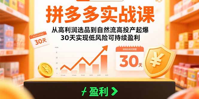 拼多多实战课：从高利润选品到自然流高投产起爆 30天实现低风险可持续盈利-A5资源网