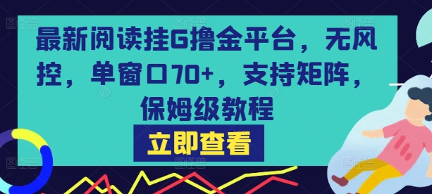 最新阅读挂G撸金平台，无风控，单窗口70+，支持矩阵，保姆级教程【揭秘】-A5资源网