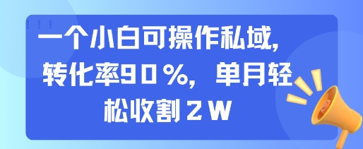 一个小白可操作私域，转化率90%，单月轻松收割2W-A5资源网