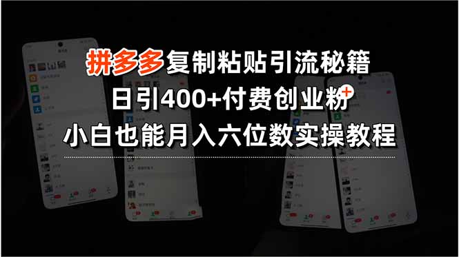 拼多多复制粘贴引流秘籍，日引400+付费创业粉，小白也能月入六位数实操...-A5资源网