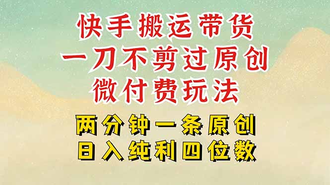 快手黑科技搬运带货，一刀不剪过原创，微付费投流玩法，轻松日入四位数…-A5资源网