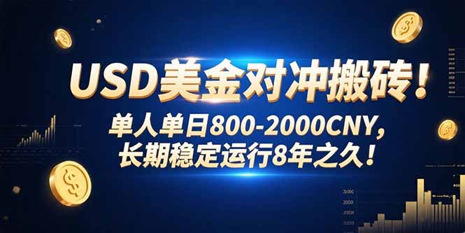 USD美金对冲搬砖!单人单日800-2000CNY，长期稳定运行8年之久!-A5资源网