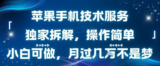 苹果手机技术服务，独家拆解，操作简单，小白可做，月过1W不是梦-A5资源网