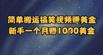 简单搬运搞笑视频挣美金，新手一个月入1k美金-A5资源网