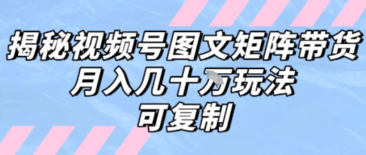 解密视频号图文矩阵带货，月入几个W的打法，可复制-A5资源网