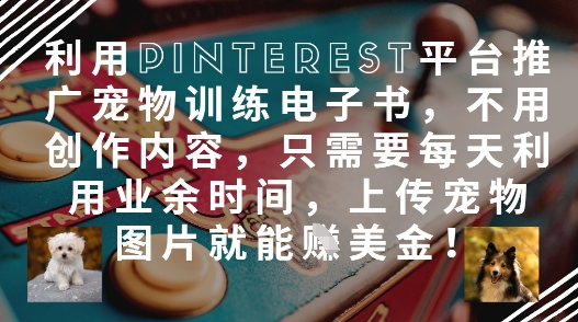 利用Pinterest平台推广宠物训练电子书，不用创作内容，只需要每天利用业余时间，上传宠物图片就能挣美金!-A5资源网