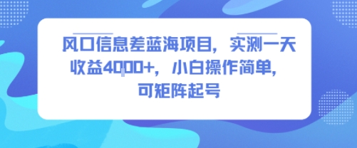 风口信息差蓝海项目，实测一天收益4k+，小白操作简单，可矩阵起号-A5资源网
