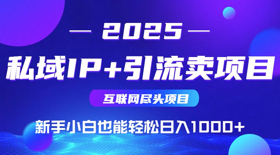 2025网创尽头项目，私域IP+引流，新手小白也能在家日入1000+-A5资源网