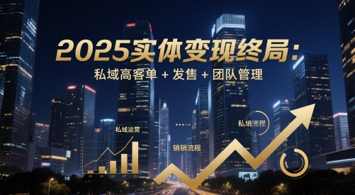 2025实体变现终局：私域高客单+发售+团队管理-A5资源网