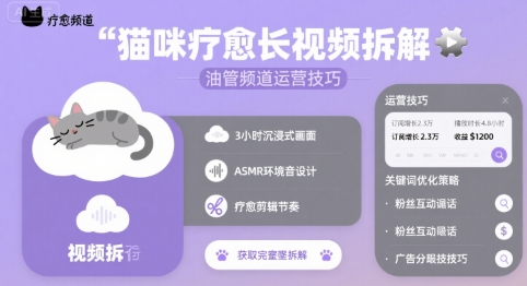 猫咪疗愈长视频拆解 &油管频道运营技巧-A5资源网