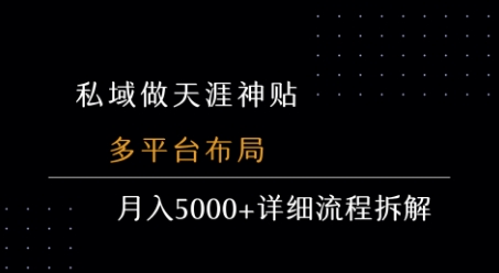 私域做天涯神贴 多平台布局 月入5k+详细流程拆解-A5资源网