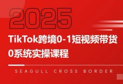 大亿老师·TikTok跨境0-1短视频带货-A5资源网