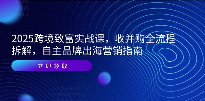 2025跨境致富实战课，收并购全流程拆解，自主品牌出海营销指南-A5资源网