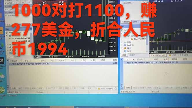 稳定8年的美刀搬砖项目，单人每日收益800—3000.团队4人月入10W+.可线下 - A5资源网