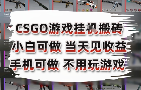 CSGO游戏挂G搬砖，小白纯手机即可操作，不用电脑打游戏，日入3张+，副业网创项目【揭秘】-A5资源网