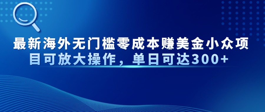 最新海外无门槛零成本赚美金小众项目可放大操作，单日可达300+-A5资源网