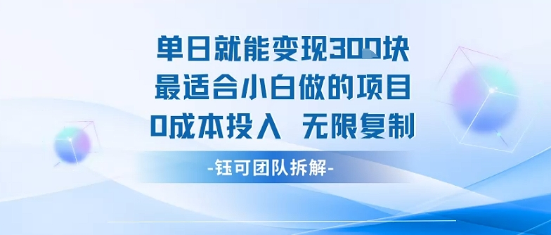 单日就能变现3张最适合小白做的项目0成本投入 无限复制-A5资源网