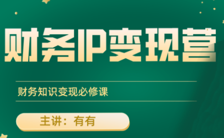 有有老师·财务IP变现营，财务知识变现必修课-A5资源网