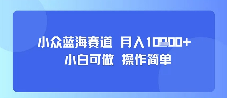 小众蓝海赛道，小白可做，操作简单，每天30分钟，月入1W+-A5资源网