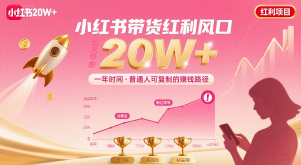 一年时间靠小红书带货项目年入20w+，最不能错的大红利项目-A5资源网