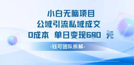 小白无脑项目公域引流私域成交0成本单日变现680米-A5资源网