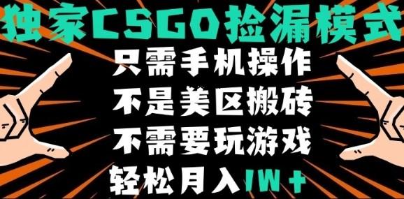 CSGO自动捡漏项目，最新独家玩法，不是美区搬砖，不需要了解和玩游戏，新手小白轻松月入1W+【揭秘】-A5资源网