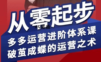拼多多运营进阶系统课，从零起步，多多运营进阶体系课，破茧成蝶的运营之术-A5资源网