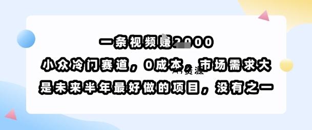 一条视频挣1k，小众冷门赛道，0成本，市场需求大，是未来半年最好做的项目，没有之一-A5资源网