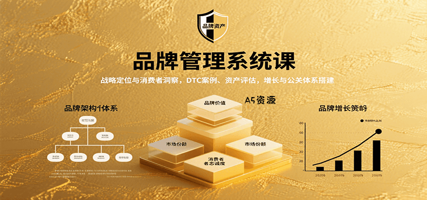 品牌管理系统课：战略定位与消费者洞察，DTC案例、资产评估，增长与公关体系搭建-A5资源网