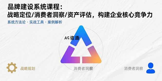 品牌建设系统课程：战略定位/消费者洞察/资产评估，构建企业核心竞争力-A5资源网